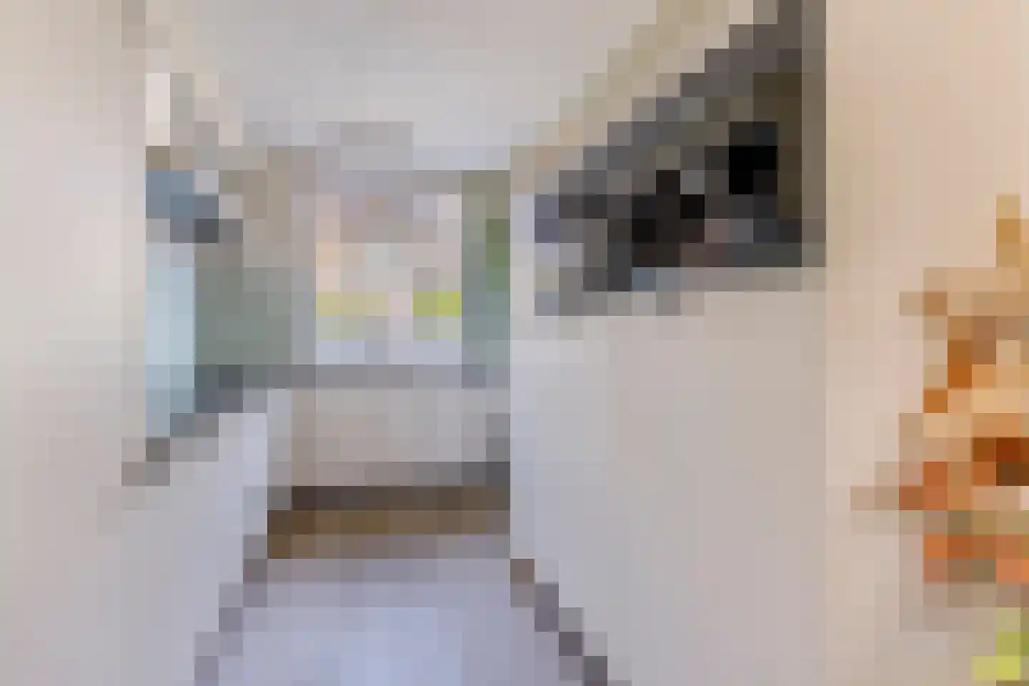 Stuiverakker 26 Koog aan de Zaan thumbnail 8