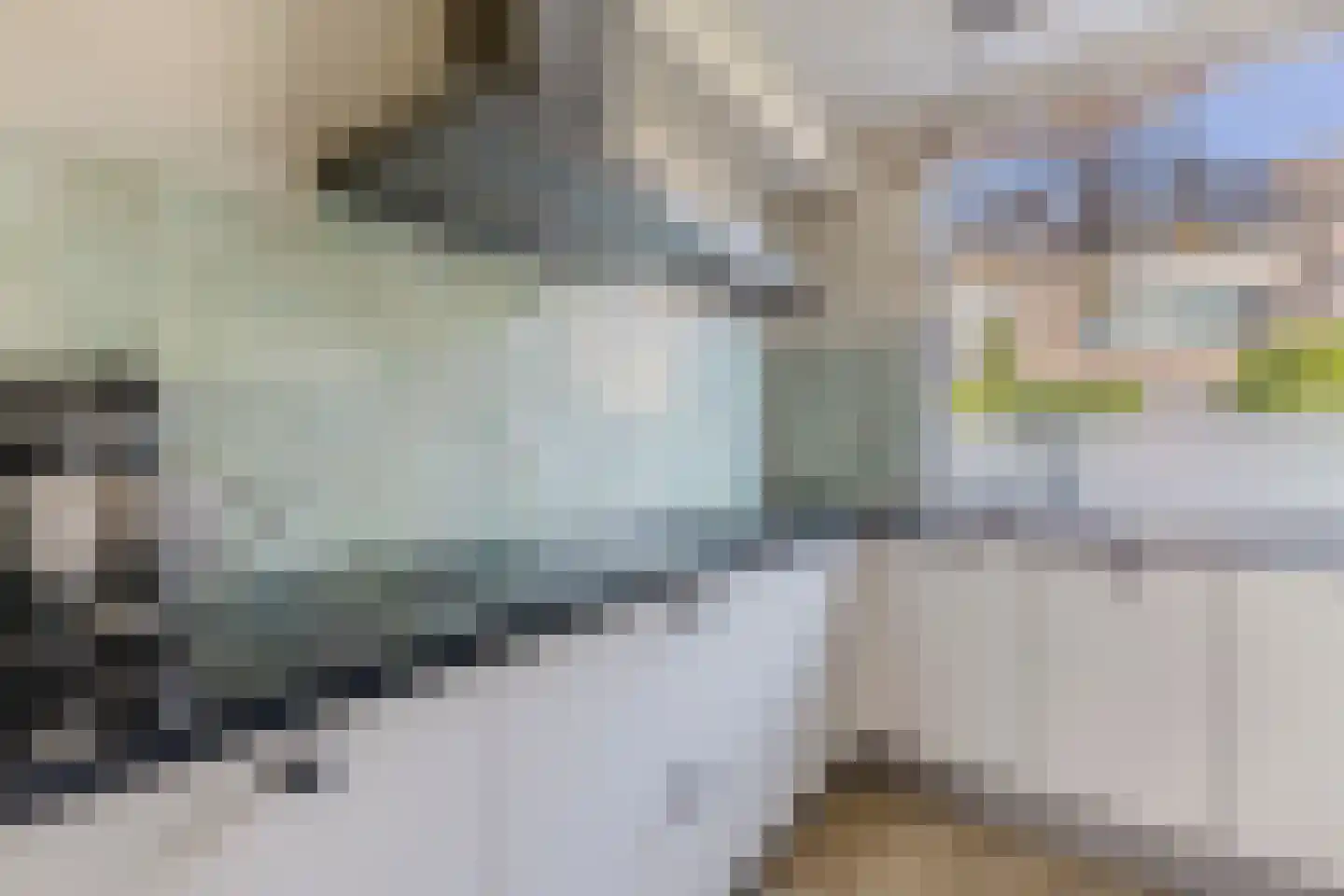 Stuiverakker 26 Koog aan de Zaan thumbnail 9