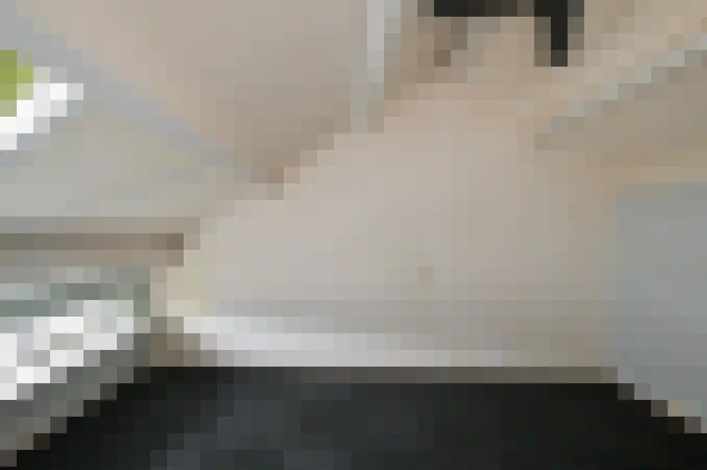 Stuiverakker 33 Koog aan de Zaan thumbnail 33