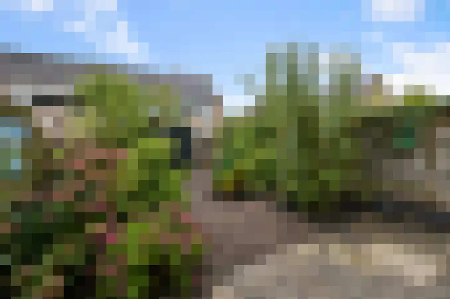 Stuiverakker 33 Koog aan de Zaan thumbnail 36