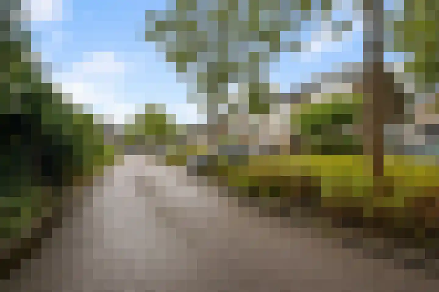 Stuiverakker 33 Koog aan de Zaan thumbnail 38