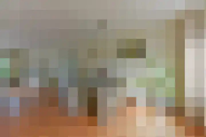 Stuiverslag 1 Houten thumbnail 10