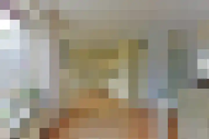 Stuiverslag 1 Houten thumbnail 11