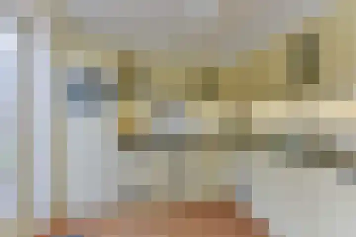 Stuiverslag 1 Houten thumbnail 12