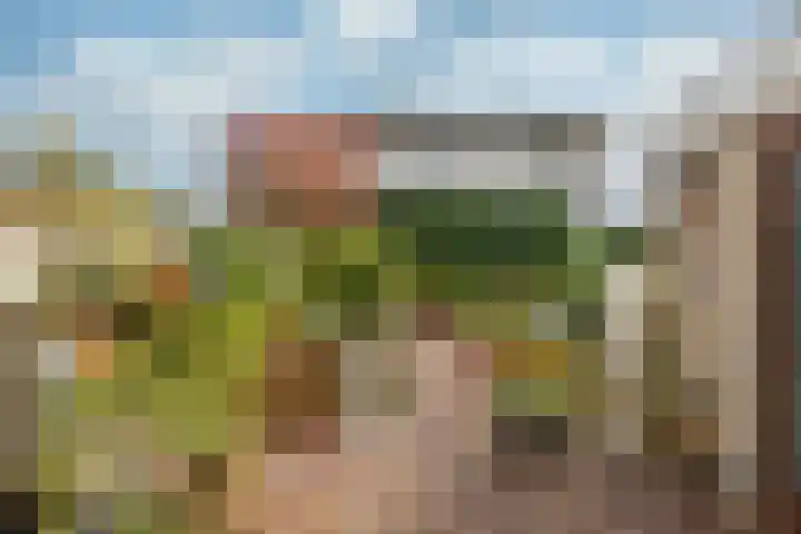 Stuiverslag 1 Houten thumbnail 14