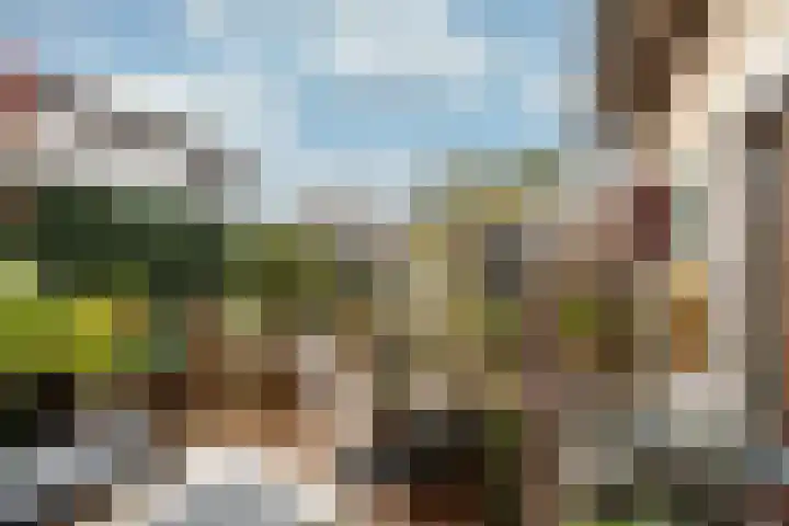 Stuiverslag 1 Houten thumbnail 15