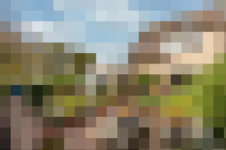 Stuiverslag 1 Houten thumbnail 16