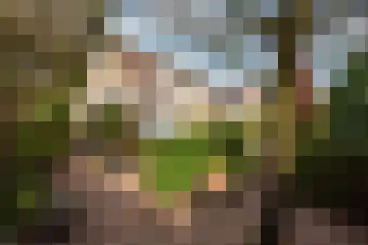 Stuiverslag 1 Houten thumbnail 17