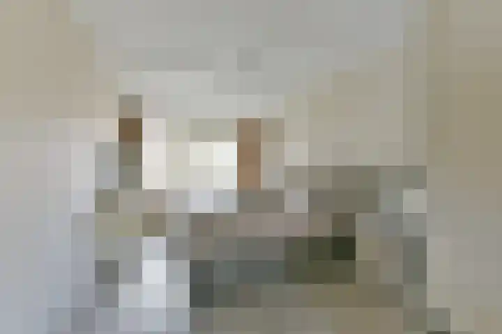 Stuiverslag 1 Houten thumbnail 20