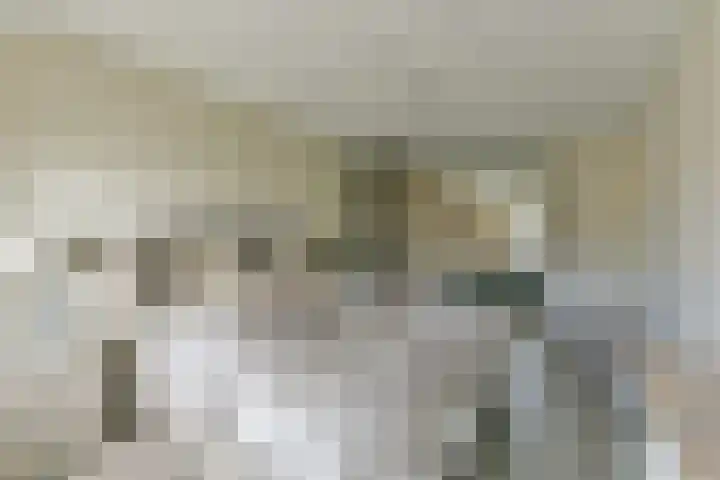 Stuiverslag 1 Houten thumbnail 21