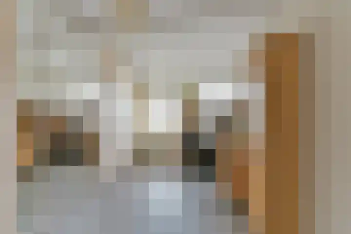 Stuiverslag 1 Houten thumbnail 22
