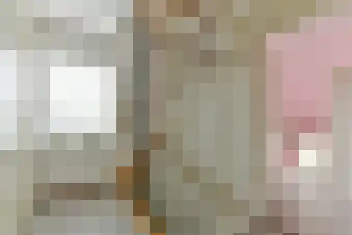 Stuiverslag 1 Houten thumbnail 24
