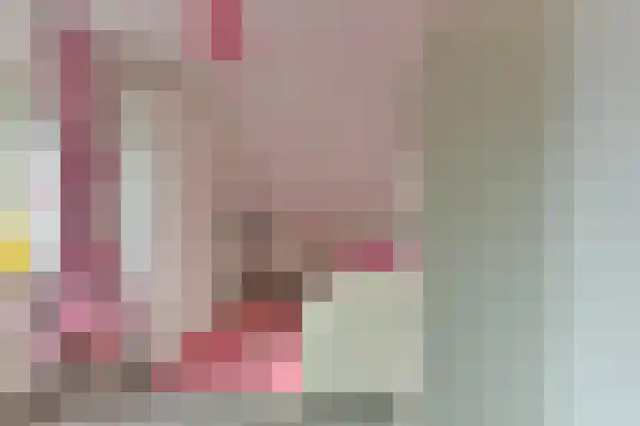 Stuiverslag 1 Houten thumbnail 25