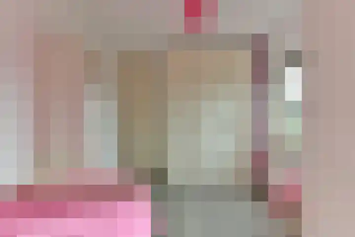 Stuiverslag 1 Houten thumbnail 26