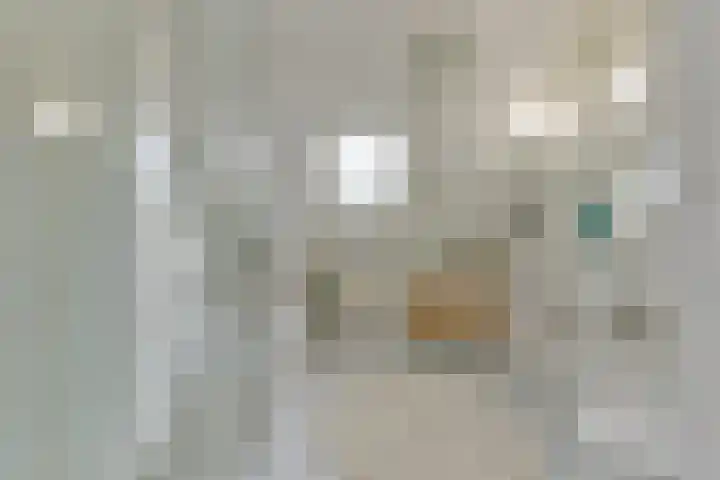 Stuiverslag 1 Houten thumbnail 28