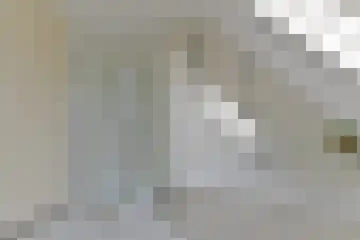Stuiverslag 1 Houten thumbnail 29