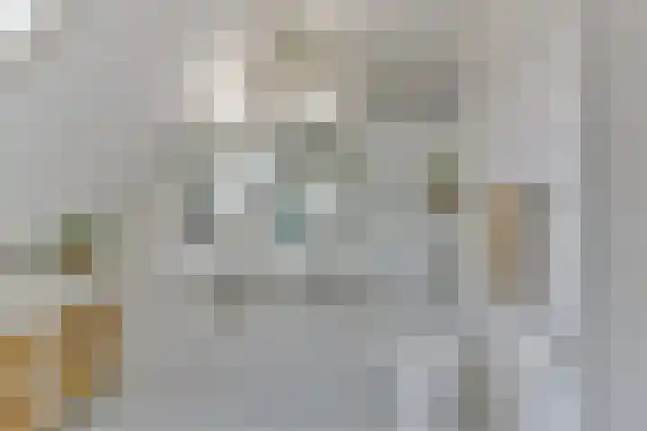 Stuiverslag 1 Houten thumbnail 30