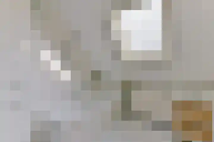 Stuiverslag 1 Houten thumbnail 31