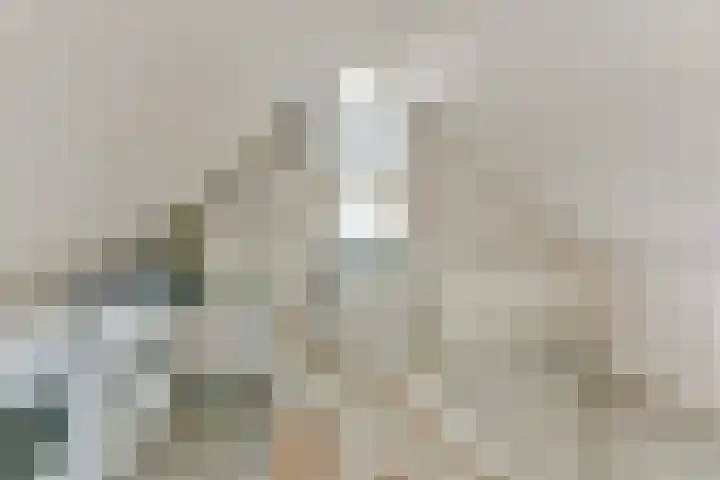 Stuiverslag 1 Houten thumbnail 32