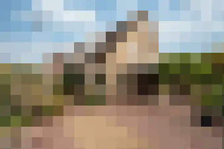 Stuiverslag 1 Houten thumbnail 37