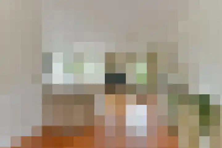 Stuiverslag 1 Houten thumbnail 5