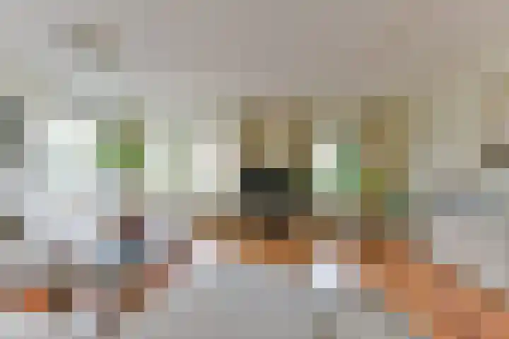 Stuiverslag 1 Houten thumbnail 6