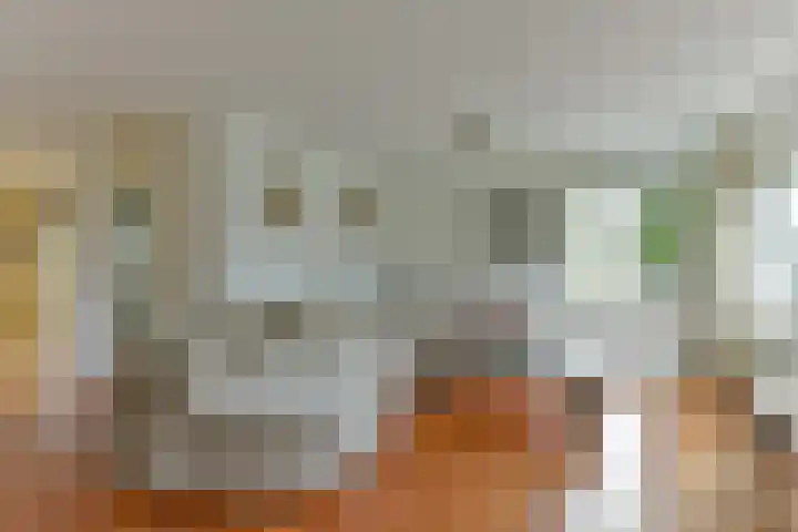 Stuiverslag 1 Houten thumbnail 7