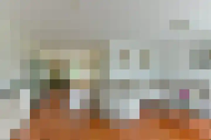 Stuiverslag 1 Houten thumbnail 8