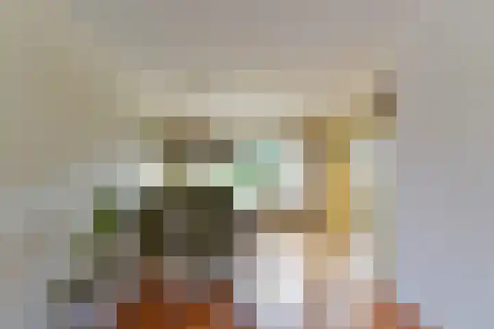 Stuiverslag 1 Houten thumbnail 9