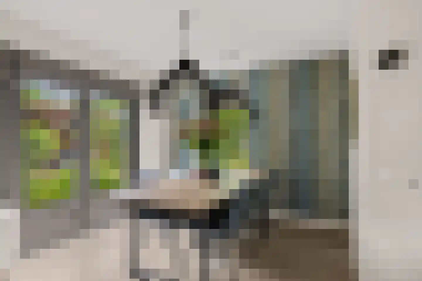Stuiverslag 12 Houten thumbnail 17