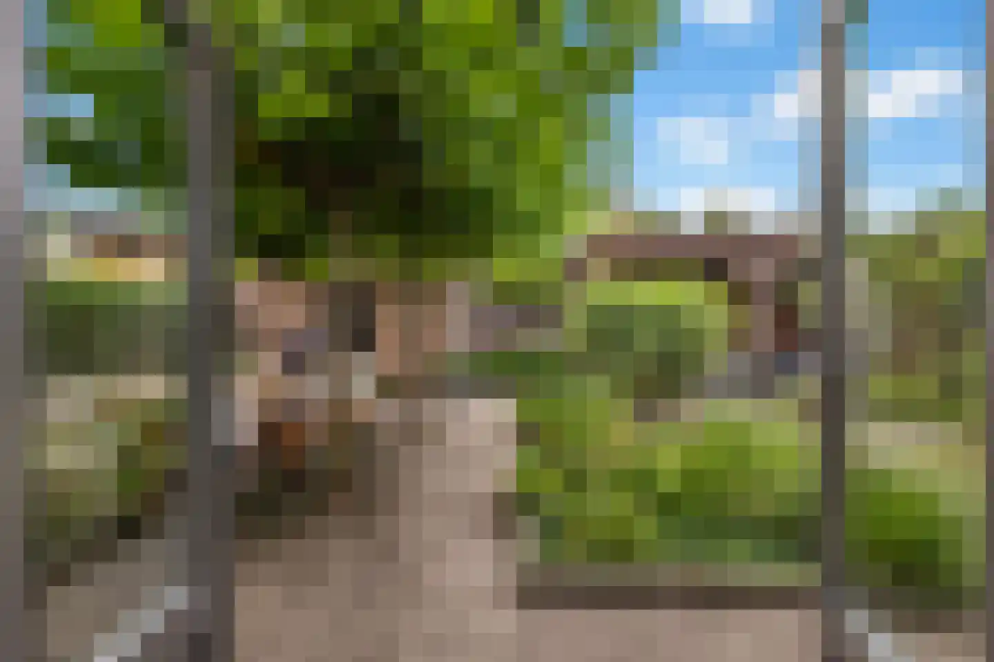 Stuiverslag 12 Houten thumbnail 20