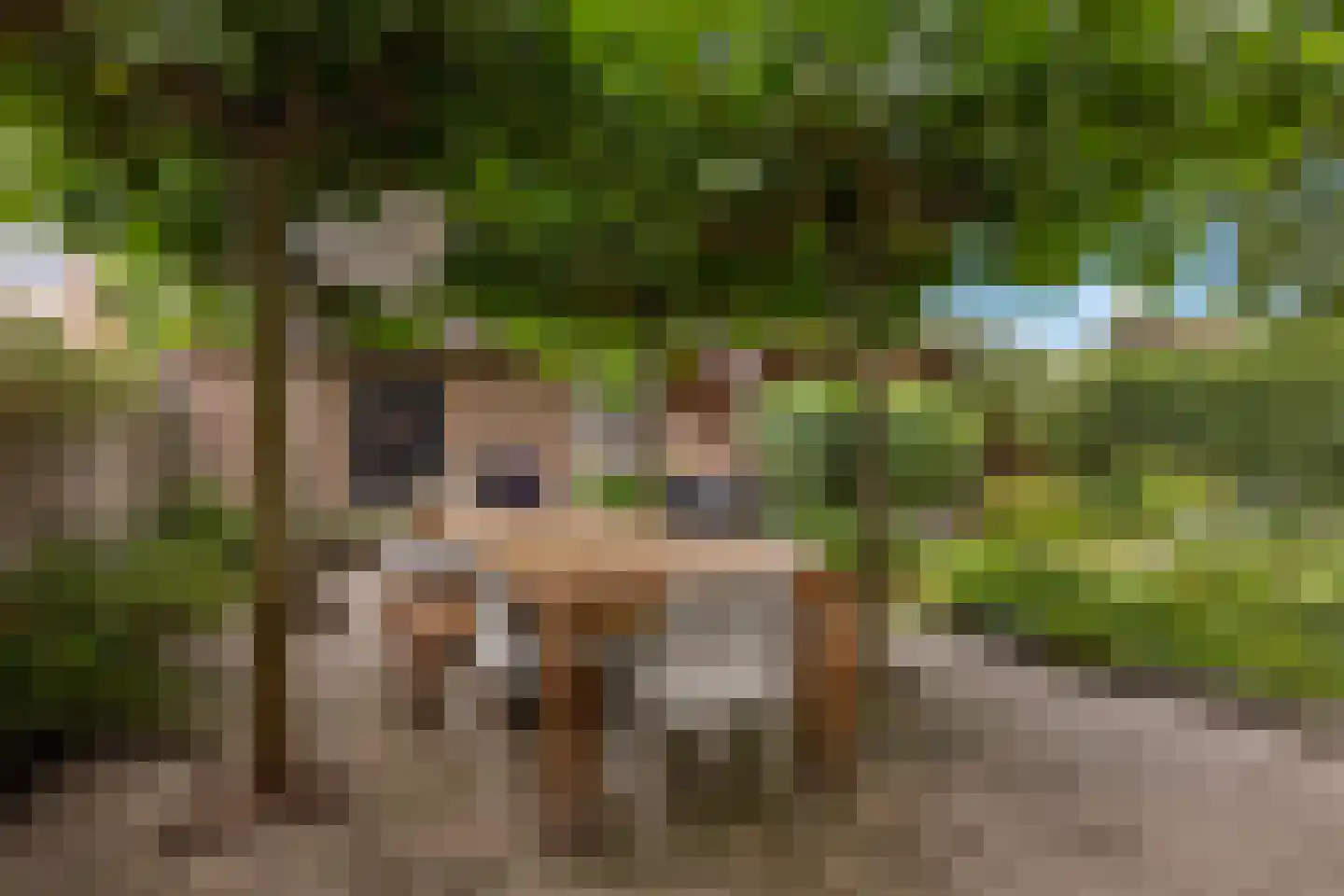 Stuiverslag 12 Houten thumbnail 21