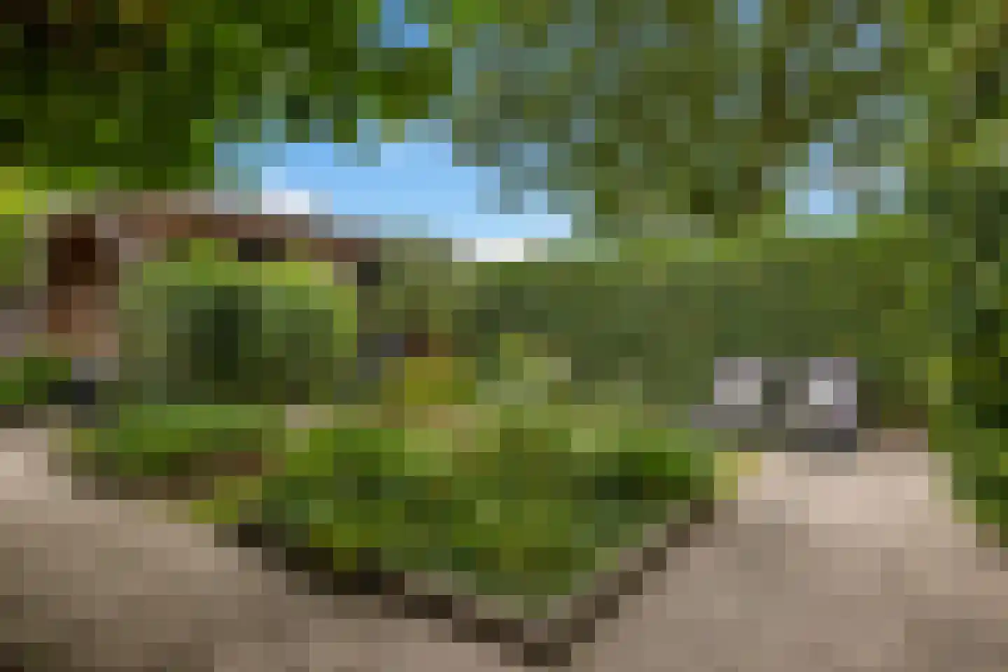 Stuiverslag 12 Houten thumbnail 22