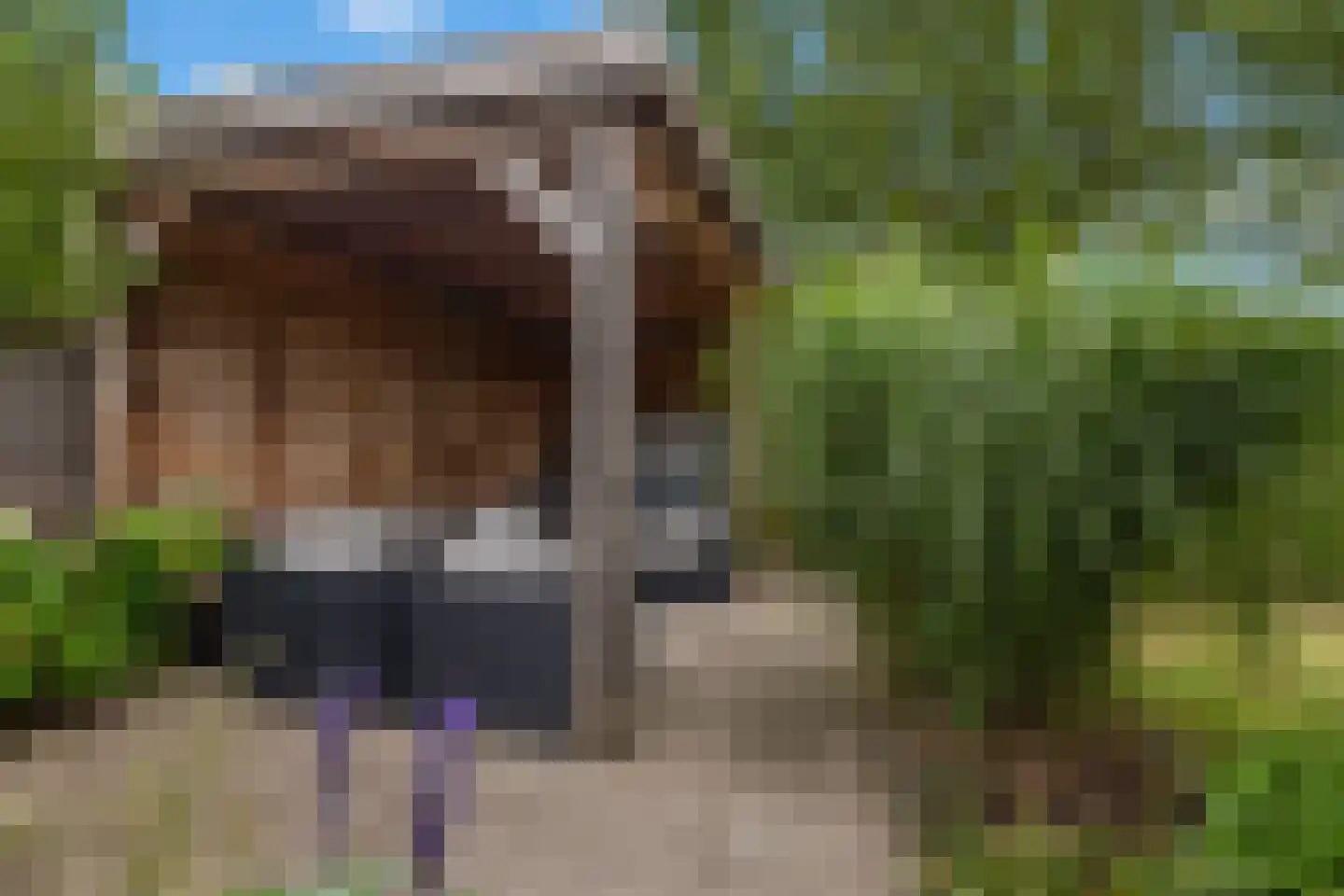 Stuiverslag 12 Houten thumbnail 23