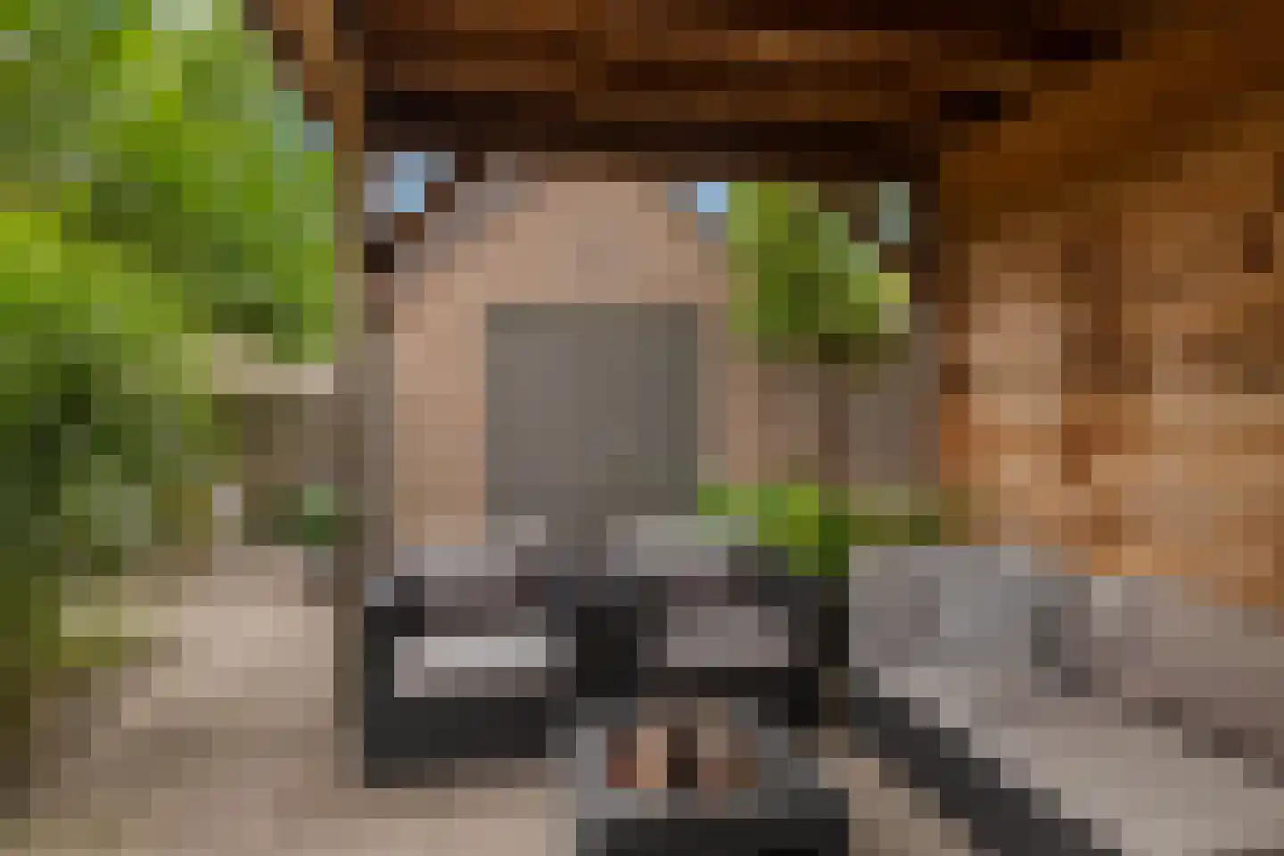 Stuiverslag 12 Houten thumbnail 26