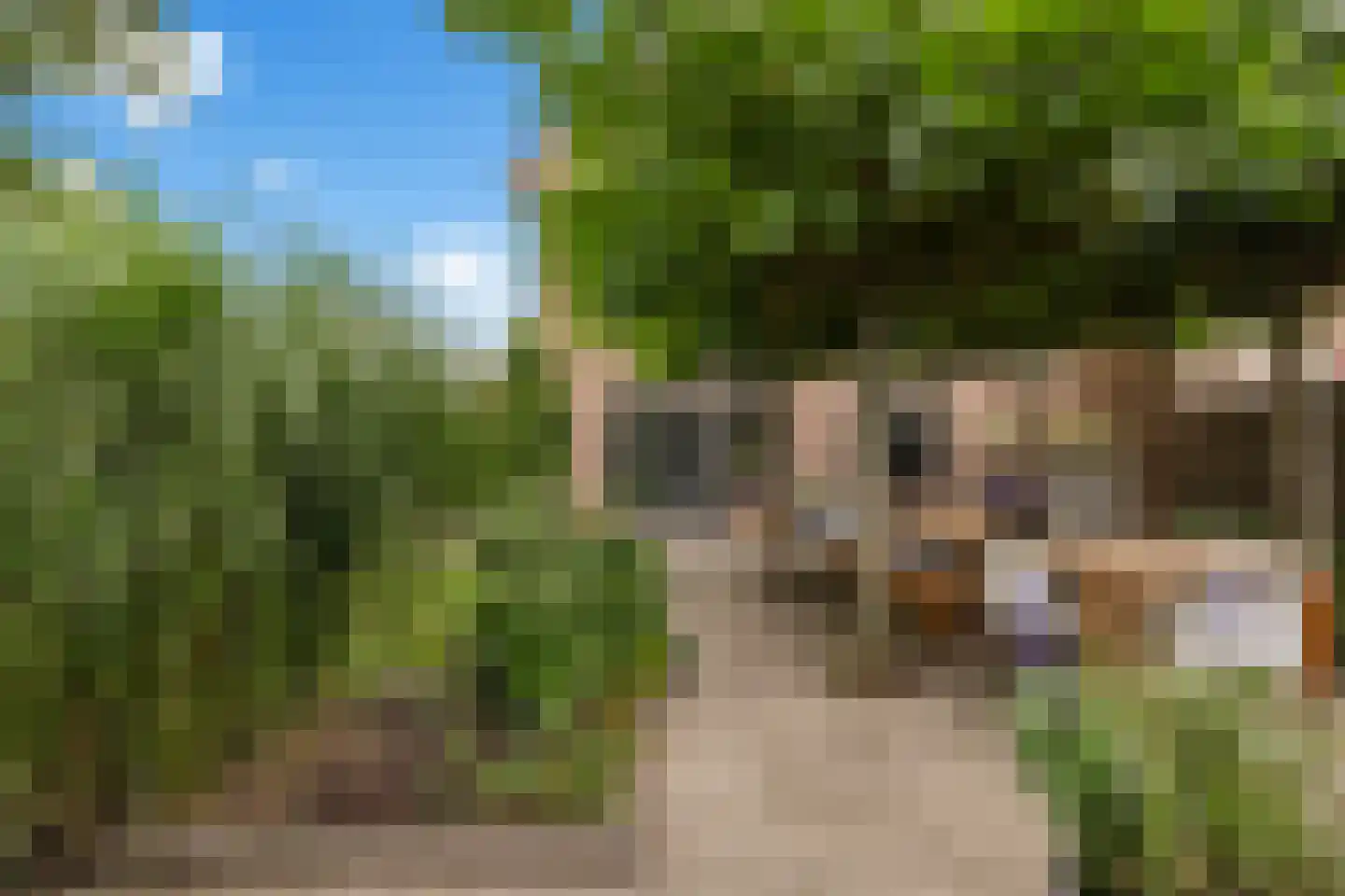 Stuiverslag 12 Houten thumbnail 27