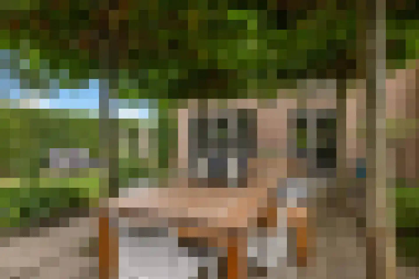 Stuiverslag 12 Houten thumbnail 28