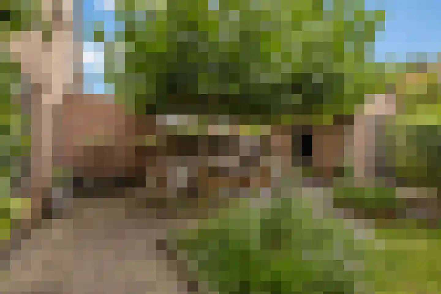 Stuiverslag 12 Houten thumbnail 31