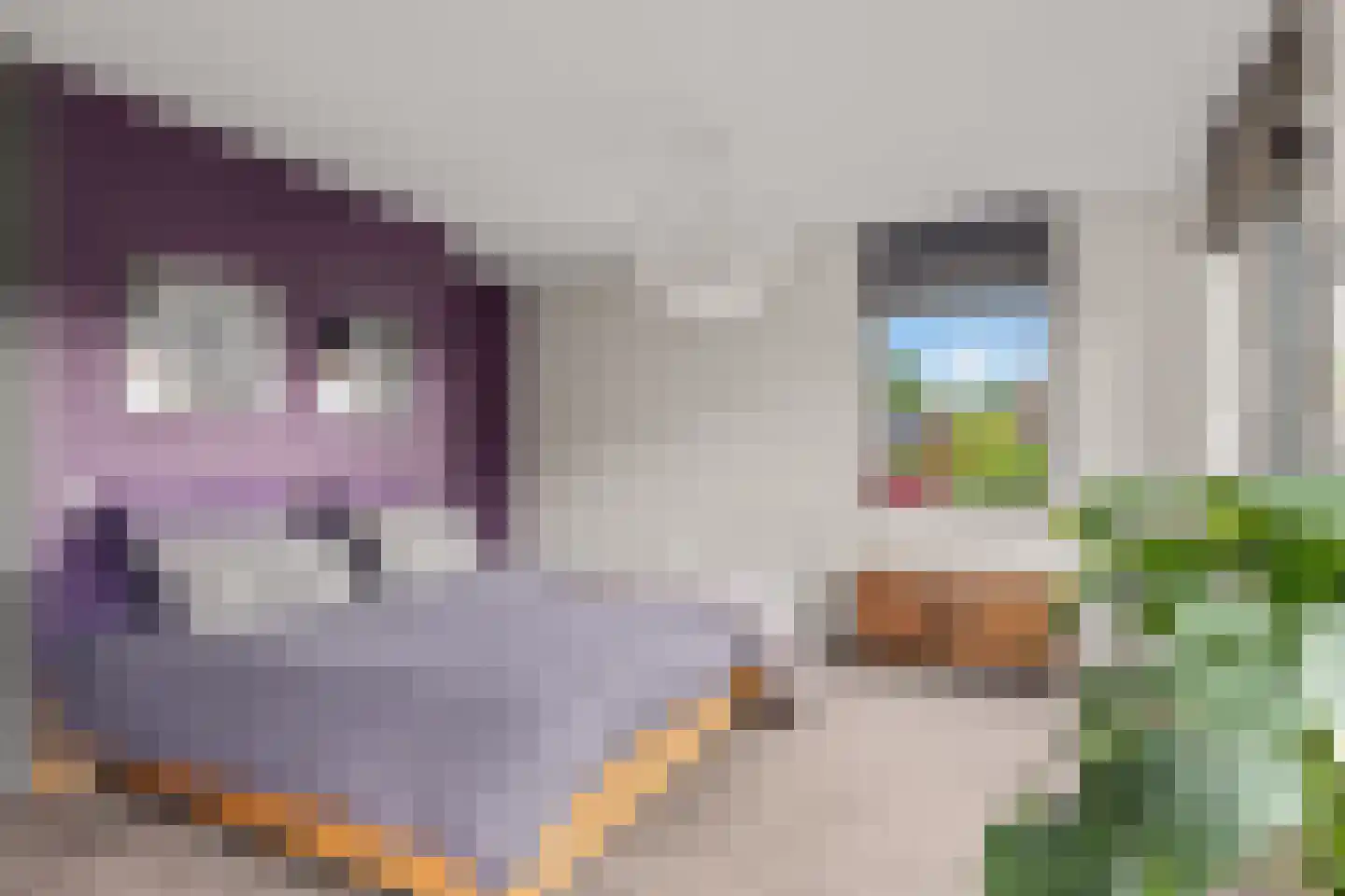 Stuiverslag 12 Houten thumbnail 38
