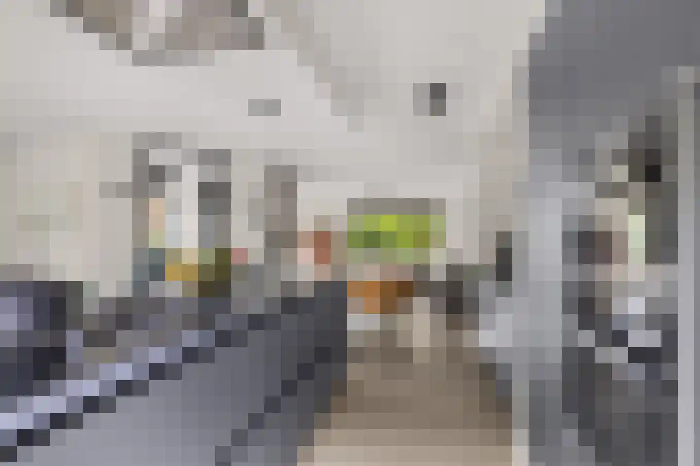Stuiverslag 12 Houten thumbnail 5