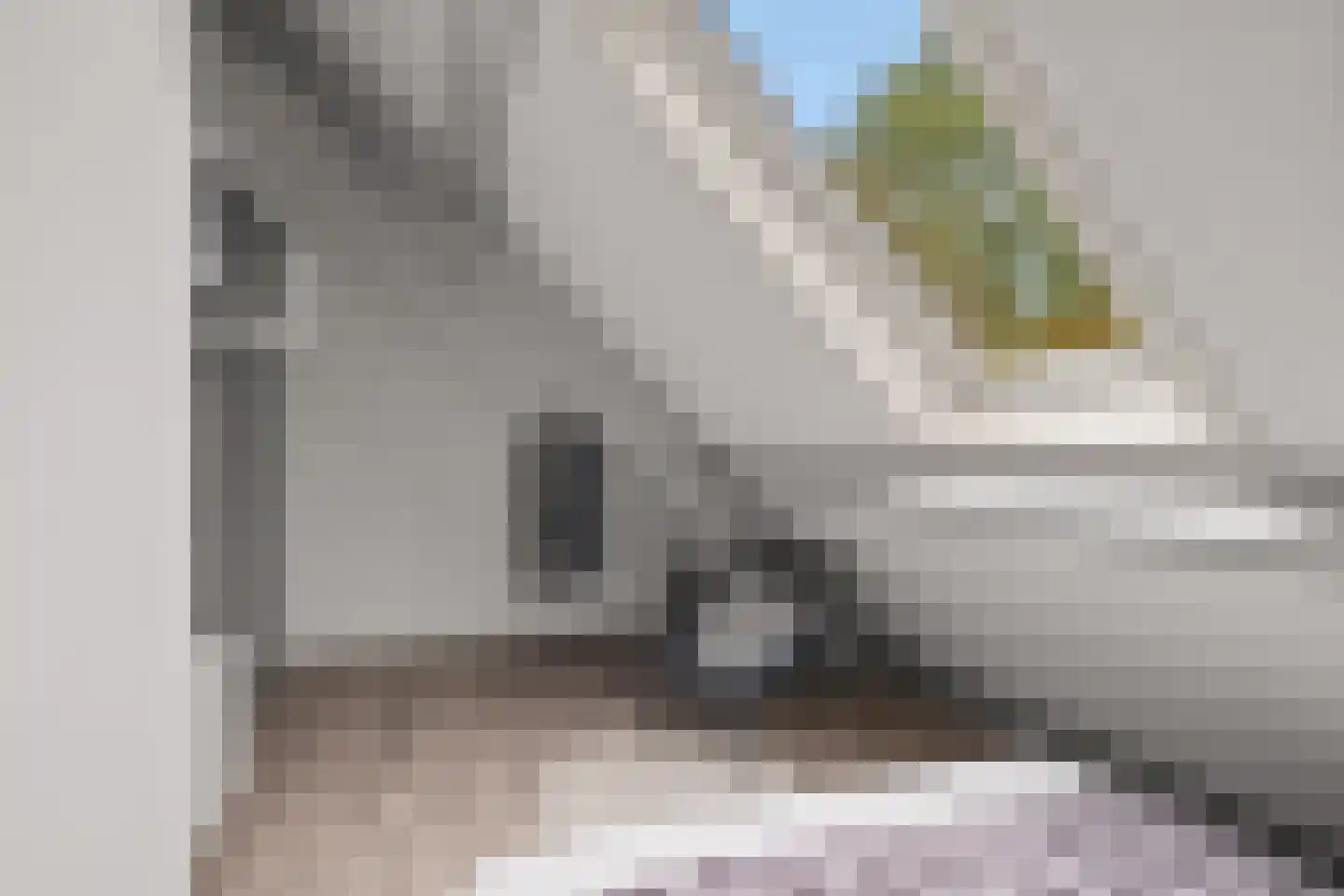 Stuiverslag 12 Houten thumbnail 50