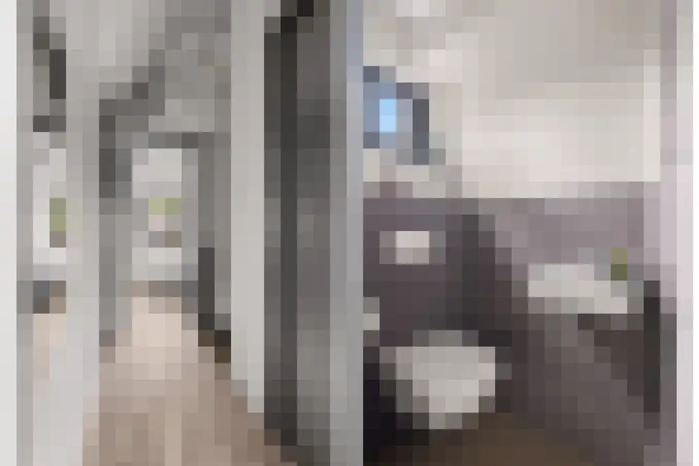 Stuiverslag 12 Houten thumbnail 55