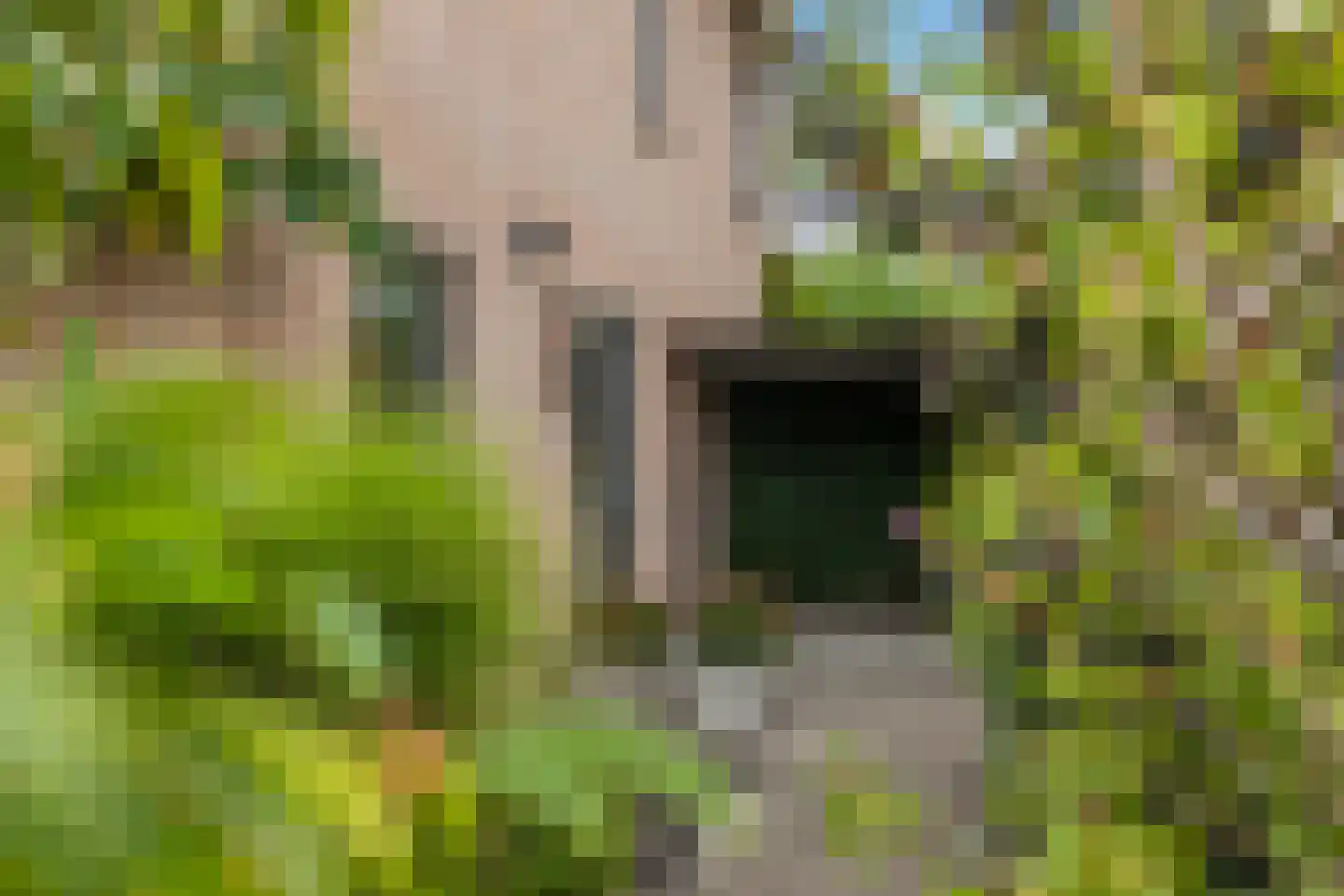 Stuiverslag 12 Houten thumbnail 58