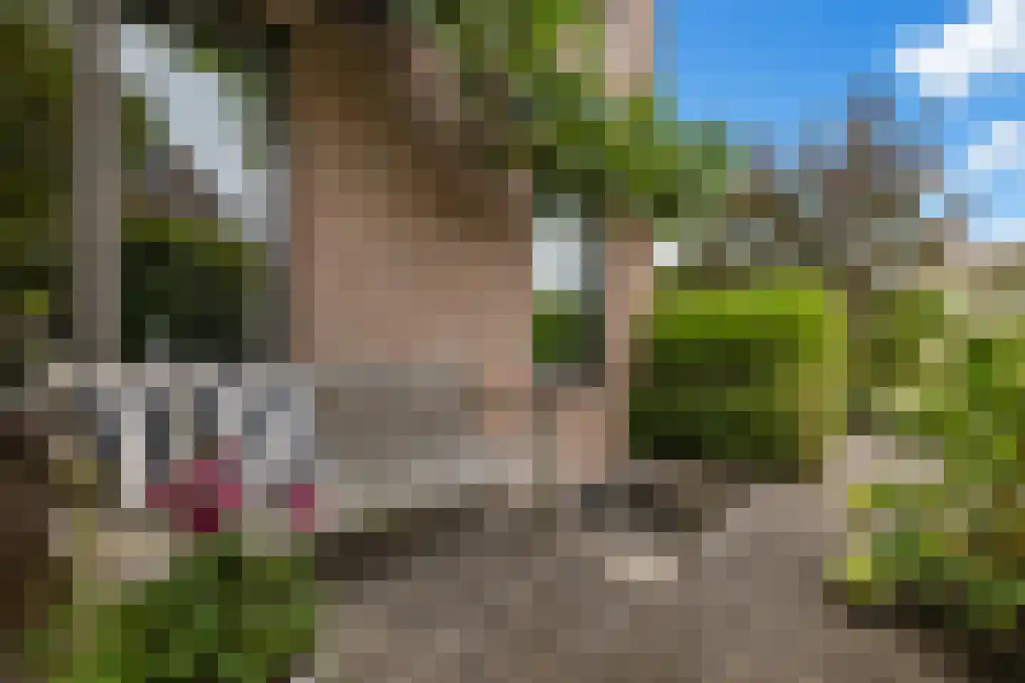 Stuiverslag 12 Houten thumbnail 59