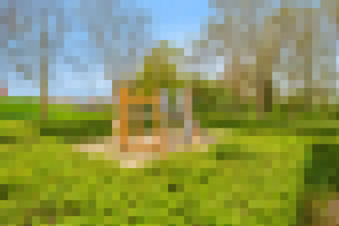 Stuiverslag 12 Houten thumbnail 63