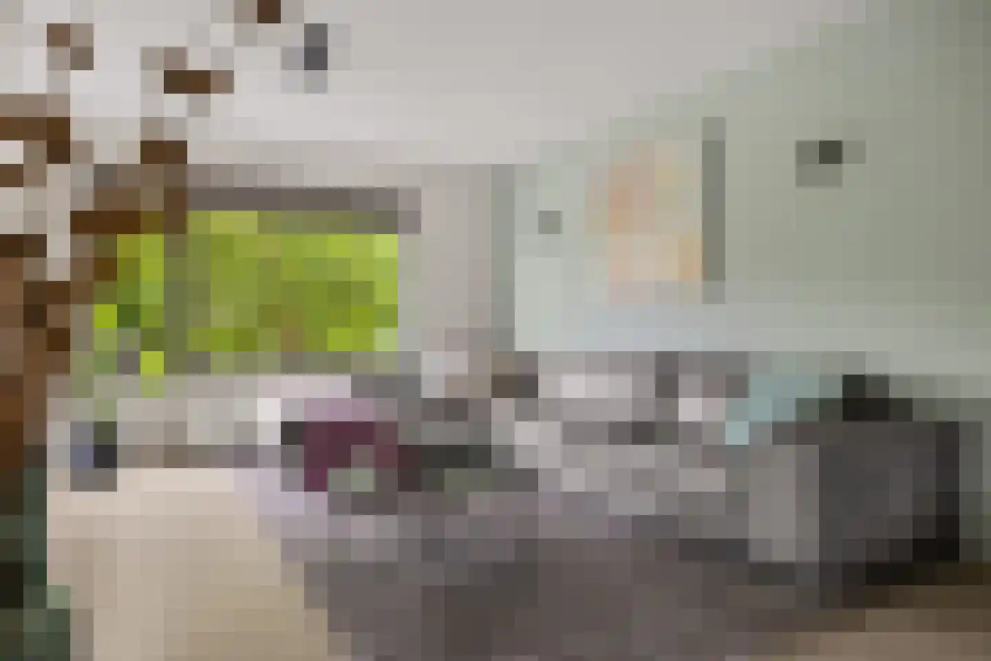 Stuiverslag 12 Houten thumbnail 7