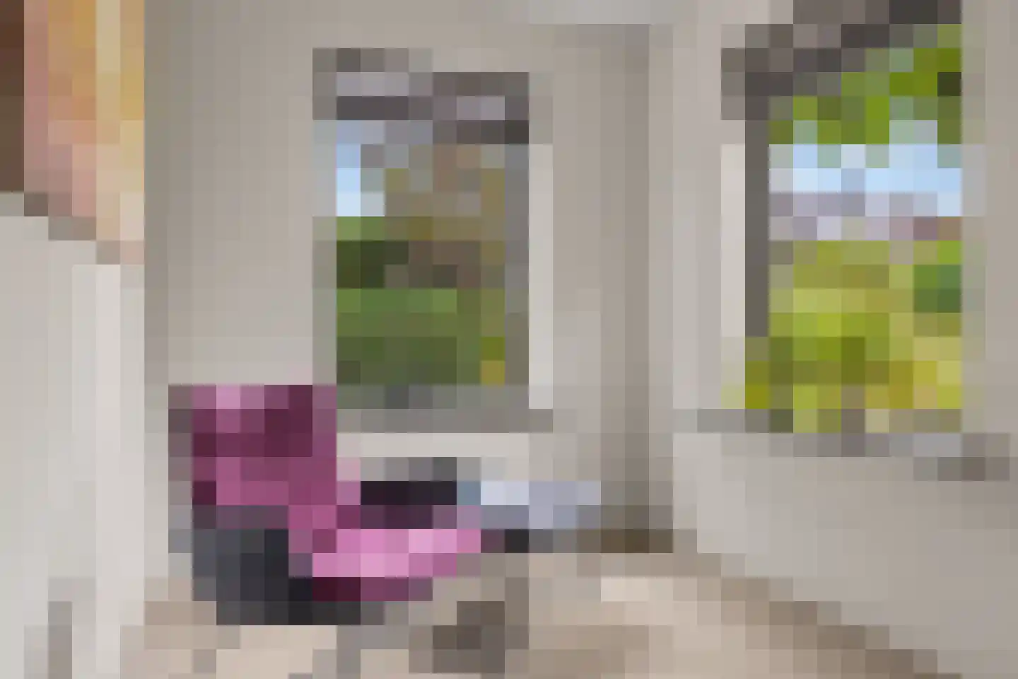 Stuiverslag 12 Houten thumbnail 9