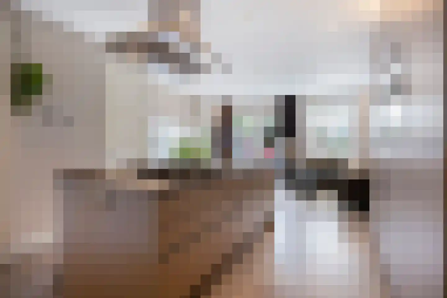 Stuiverstraat 1 M Eindhoven thumbnail 19