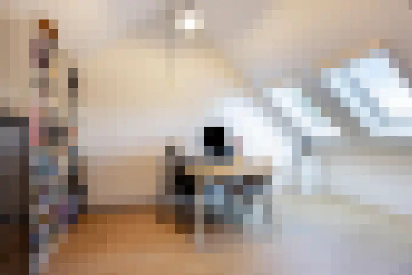 Stuiverstraat 1 M Eindhoven thumbnail 33