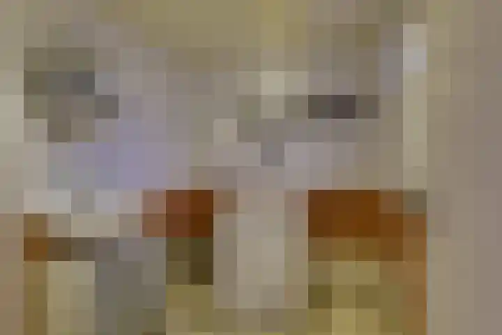 Stuiverstraat 17 Eindhoven thumbnail 17